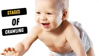 Stages Of Crawling | Baby Development