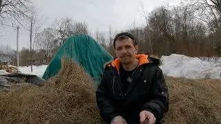 В общем такие новости...  главный минус деревенского хозяйства с крс