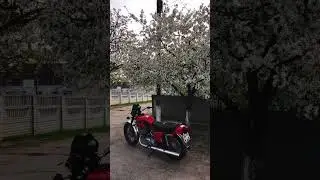 Весна и Иж ❤️ #мотожизнь #automobile #україна #иж #ижпланета5 #bikelife #ижак #весна #ижюпитер5