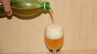 Homemade beer / Homemade beer PILSEN