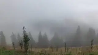 Туман неизвестности. М.С.Норбеков