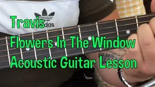 Travis-Flowers In The Window-Acoustic Guitar Lesson