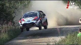 Best Of Rallye 2018 - Best Of WRC 2018