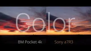 Comparing Colors BMPCC4k vs Sony A7Riii