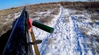 Duck, Hare, and Pheasant Hunting. December 2022