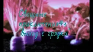 Овощные приключения№ 1 Выход с грядки