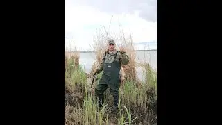 Ловим карася. Рыбалка на озере Буйвола  г. Будённовск Ставропольский край.