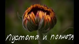 Питание и пустота