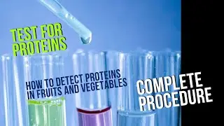 Test for Proteins(Ninhydrin test) /Qualitative phytochemical screening / part 4