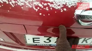 Амурская зима VS автомобильный пластик