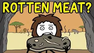 What Did Ancient Humans Actually Eat?
