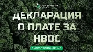 Декларация о плате за НВОС 2024