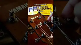 Tali gitar putus ?