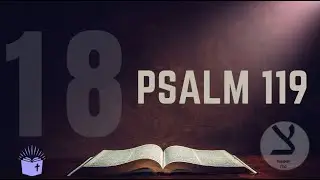 📖 Psalm 119,137-144 (ZADE)   |    Teil - 18