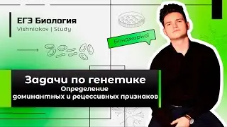 ЕГЭ Биология | ЗАДАЧА ПО ГЕНЕТИКЕ. Определение доминантных и рецессивных признаков