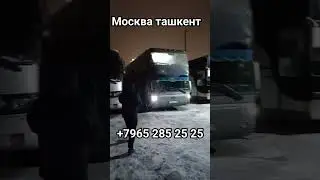 Москва Узбекистан Автобус 