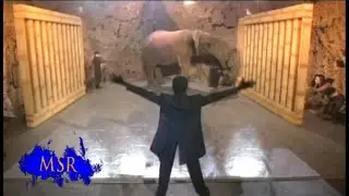 HOW TO MAKE A GIANT ELEPHANT VANISH!