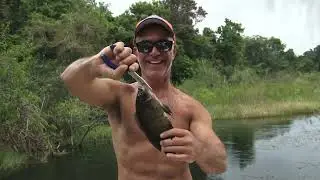 Fishing the Panama Canal for Bass , Oscar , Snook and Talipia