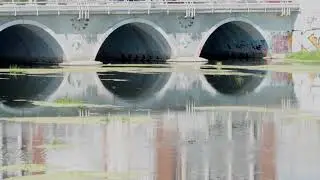 Река Миасс в городе и уточки 24 июля 2023 г