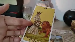 Zodia Capricorn Bonus
