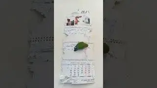 2023 год подходит к концу. 2023 year going to the end.