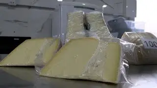 Queijos em destaque