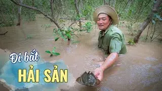 Đi bắt hải sản, ốc leo cây ở biển Sóc Trăng |Catch and Cook AMAZING SEAFOOD in Vietnam
