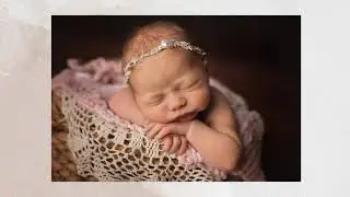 Lacey newborn photographer