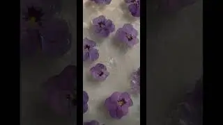 🌼ЛЕТНИИ ОБОИ🌼