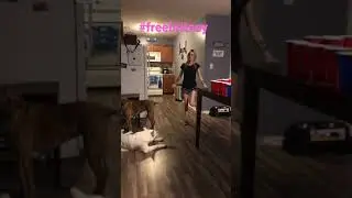 Drunk beer pong with the wifey!  (Britney Spears) 