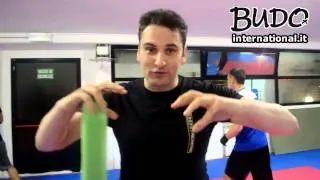 Renzo Sorrentino - Guardia nel pugilato agonisti - Energy Mediglia - Budo International