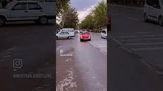 Gidiyor gönlümün efendisi Tosbağa