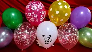 FUN PANDA BIRTHDAY BALLOONS POP!!!
