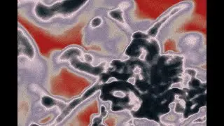 Sinsajo - Opera (Visualizer)