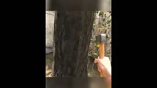 Glitches In Real Life