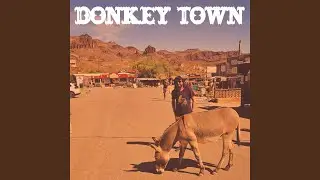Donkey Town