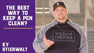 How Should I Keep My Pen Clean?