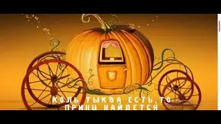 КОМУ МУЖЧИНУ, А КОМУ ТЫКВУ. КАБАЧКИ С СЫРОМ - ВКУСНО И ПОЛЕЗНО.