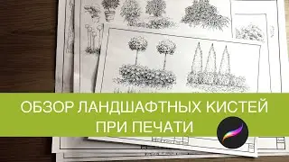 Обзор ландшафтных кистей-штампов для procreation при печати
