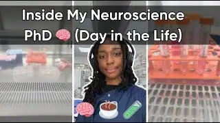 This Is What a Neuroscience PhD Actually Looks Like