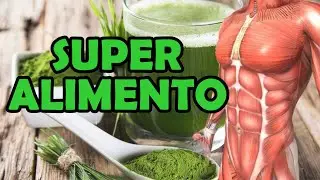 Spirulina - Para Que Serve? Veja os Benefícios Para Emagrecer com Spirulina