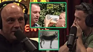 'The Two Fear Factor Skits I Refused'