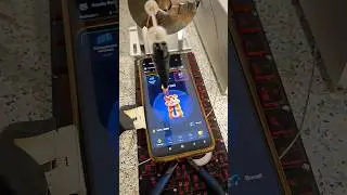 Инженерная мысль - таполка хомяк