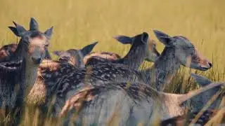 Balade en famille au jardin des merveilles