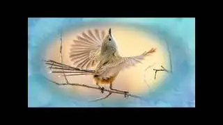 Neither ordinary nor extraordinary.......Rupert Spira