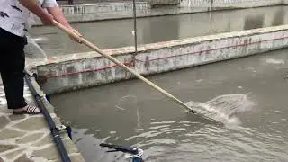 ЭКСКУРСИЯ ПО РЫБНОМУ ХОЗЯЙСТВУ В ИТУМ-КАЛИ