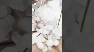 Днёвка в горах Западного Саяна