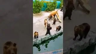 Позитивчик. ВСЕМ ДЕВЧОНКАМ ПОСВЯЩАЕТСЯ !!! ... 