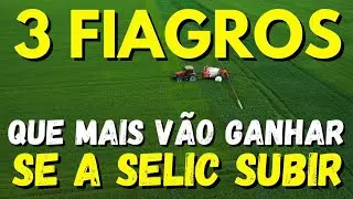 3 FIAGROS QUE VÃO SE BENEFICIAR SE A TAXA SELIC SUBIR