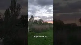 5 мая 2023 г.